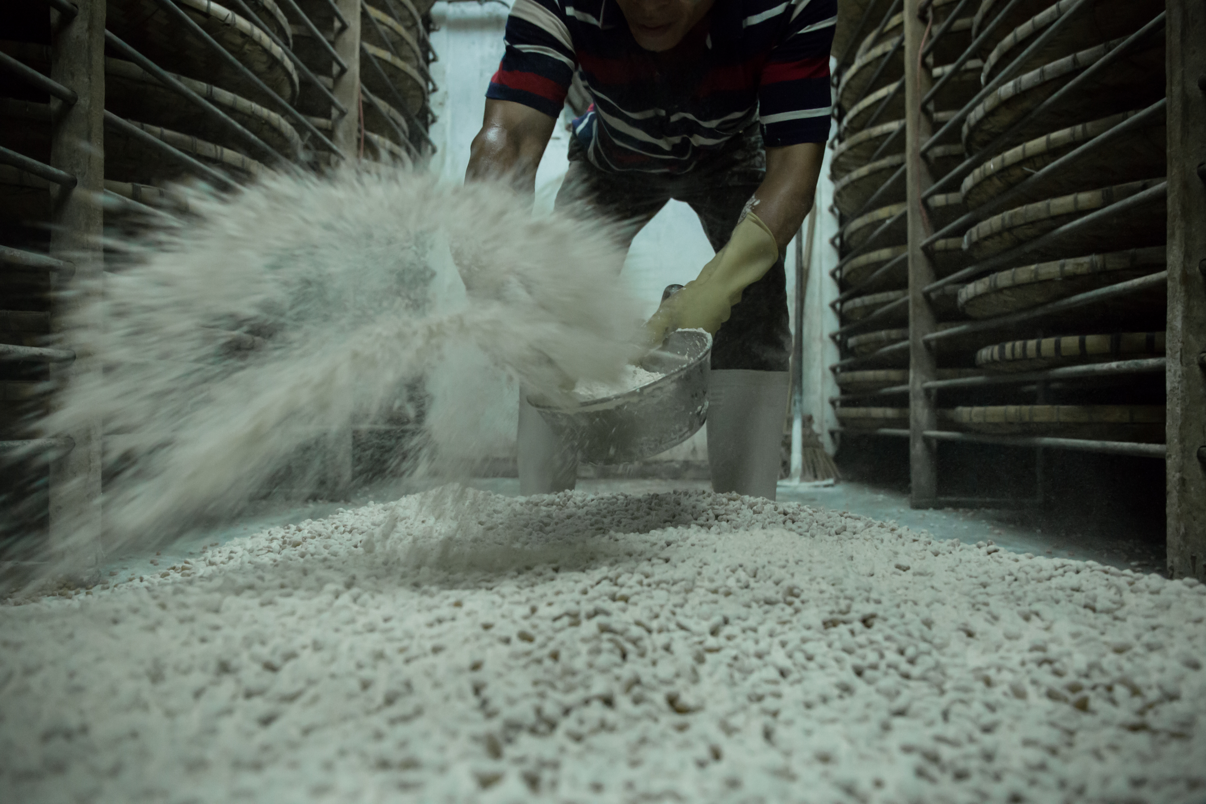 Using traditional sun-drying fermentation method 堅持古法釀製豉油，圖為撈簧的步驟.jpg