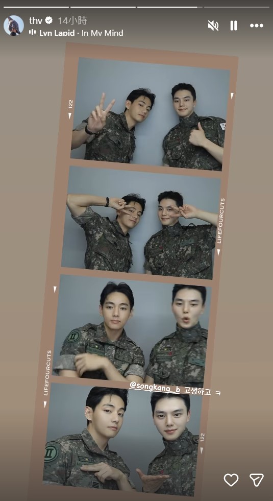 V.jpg