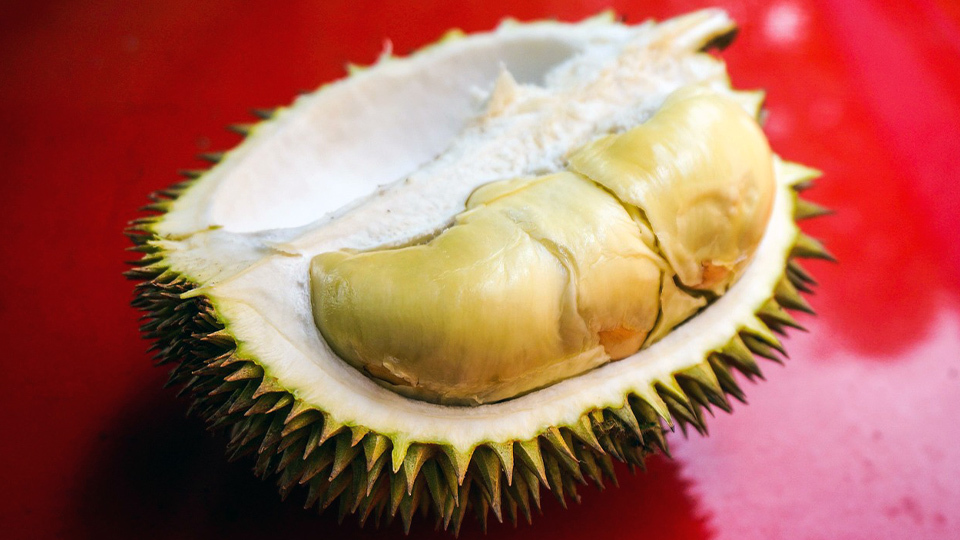 身心有營飲食法則--荔枝病-惹恐慌-了解營養價值-安全進食份量-附8大高糖水果排行