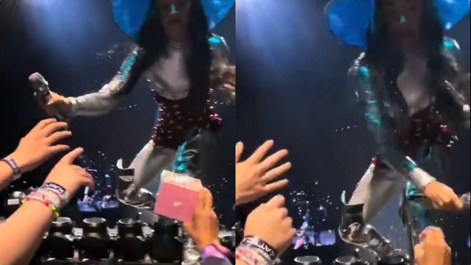 collage.jpg