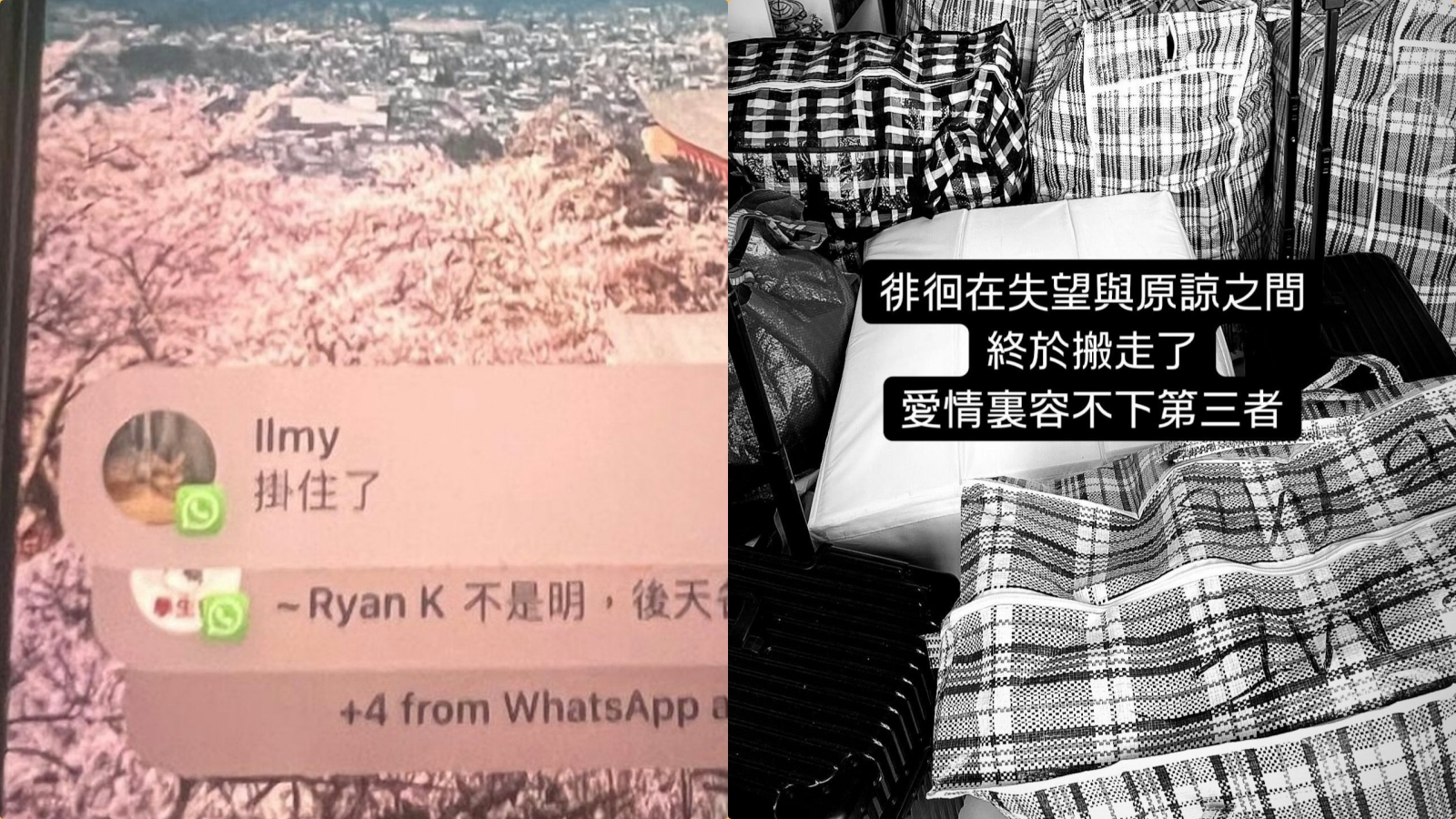 collage.jpg collage.jpg