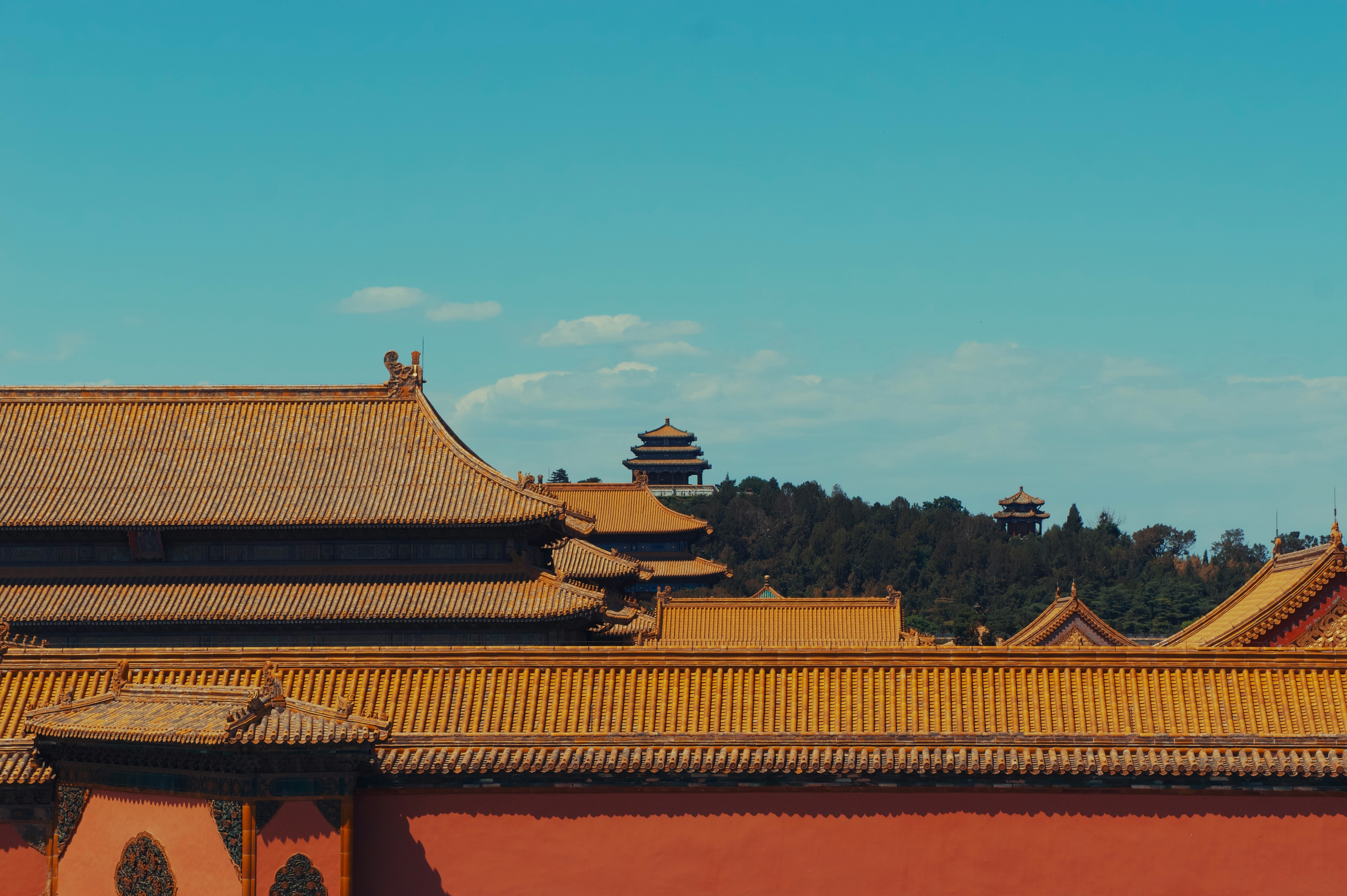 kaiyu-wu-PGQjqgvpufU-unsplash (1).jpg