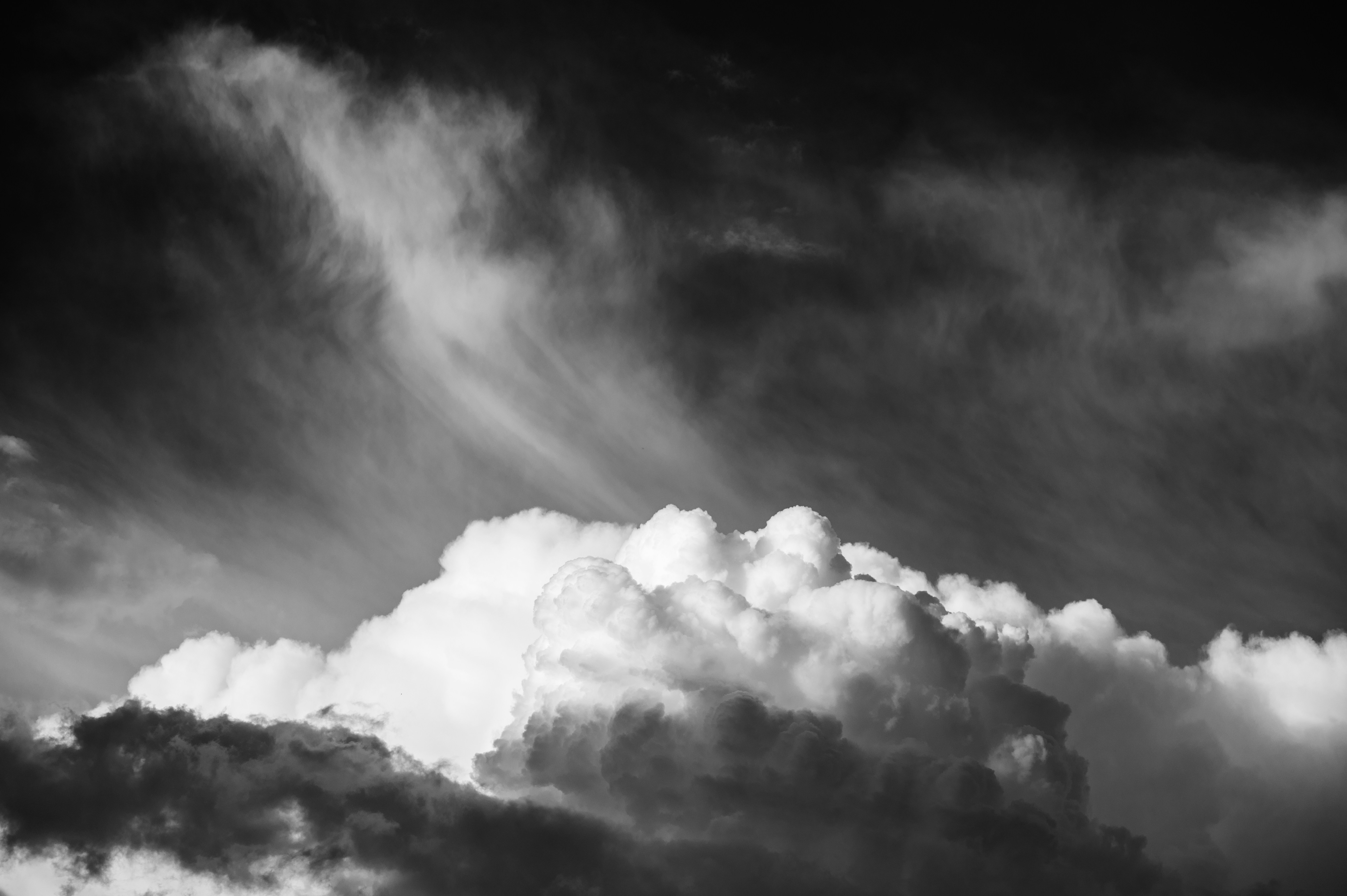 bayern-lens-nvzuw3sa1tQ-unsplash.jpg