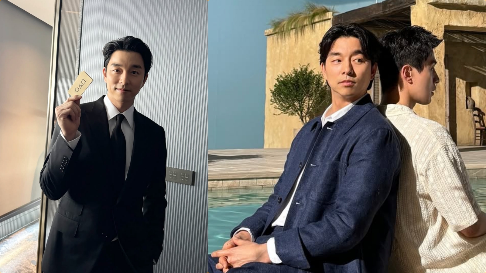 collage.jpg collage.jpg