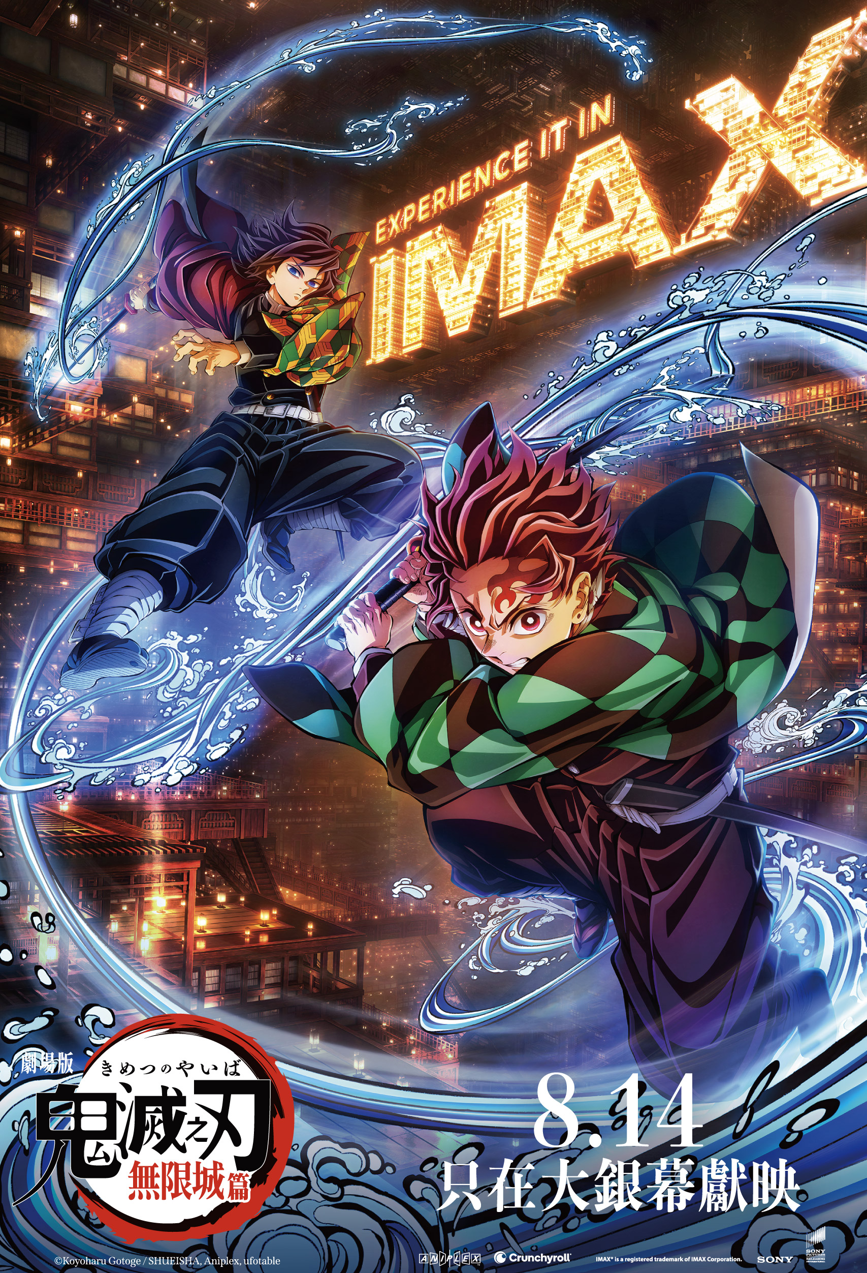 DSIC _ IMAX Poster.jpg DSIC _ IMAX Poster.jpg