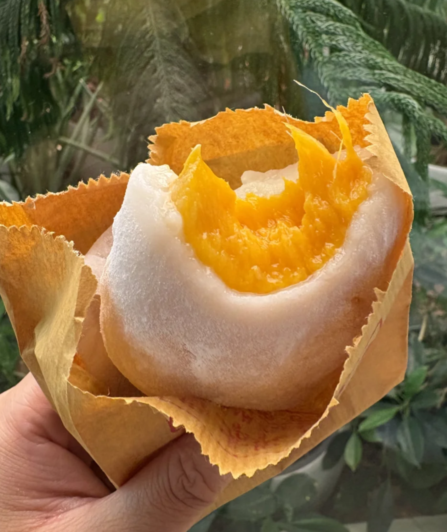 螢幕截圖 2025-09-11 上午10.39.19.png