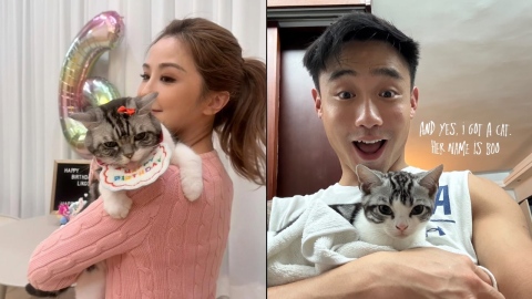 蔡卓妍疑公開新戀情-與年輕10歲星級健身教練借愛貓傳情