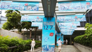 詹勝---直道而行-投票即救災