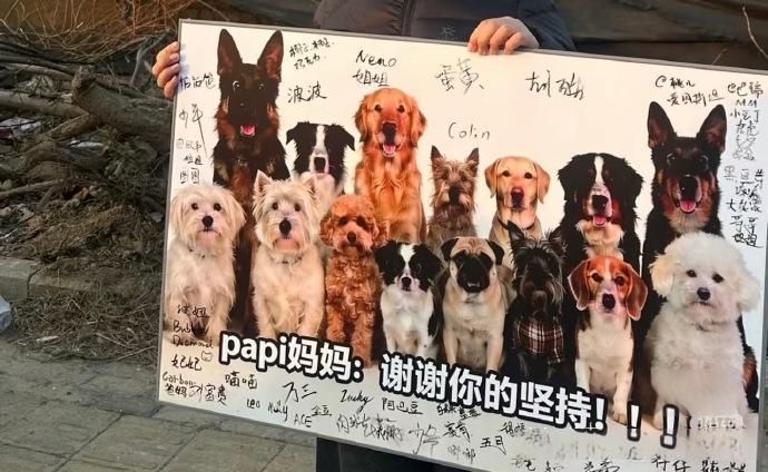 北京首宗寵物中毒刑案一審宣判-狗主辭職追兇3年-投毒者判囚4年