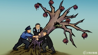 陳皮專欄-連根拔起