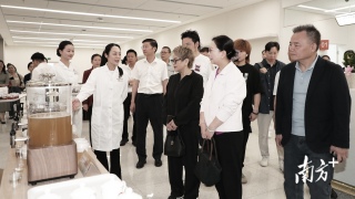 健康梅州-康養體驗團-活動舉辦--深化與大灣區健康服務交流合作