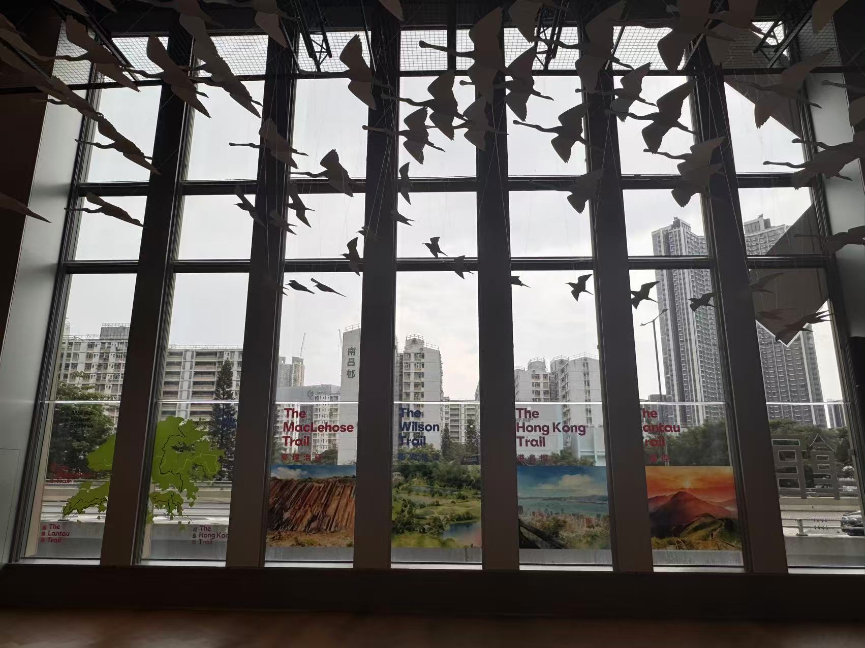 香港設計中心-旅港維度-登場-策展人-熟悉的香港從未褪色