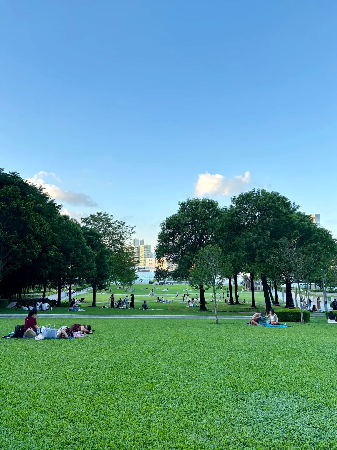 香港10大免費野餐好去處---迪欣湖-香港最高野餐公園-附交通與周邊玩樂懶人包