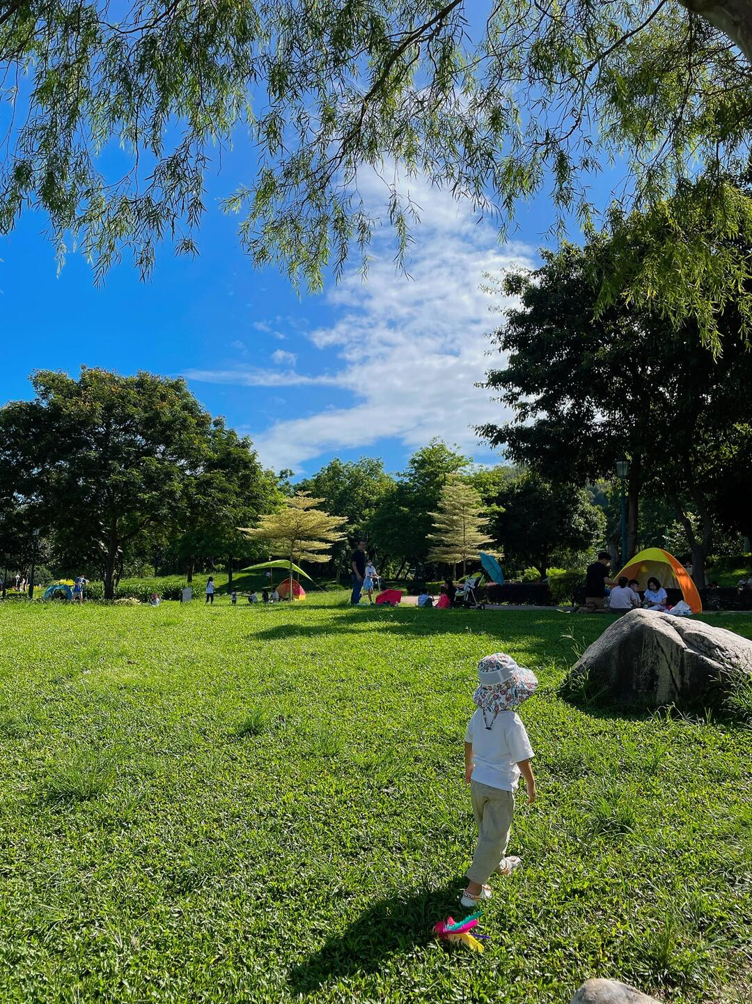 香港10大免費野餐好去處---迪欣湖-香港最高野餐公園-附交通與周邊玩樂懶人包