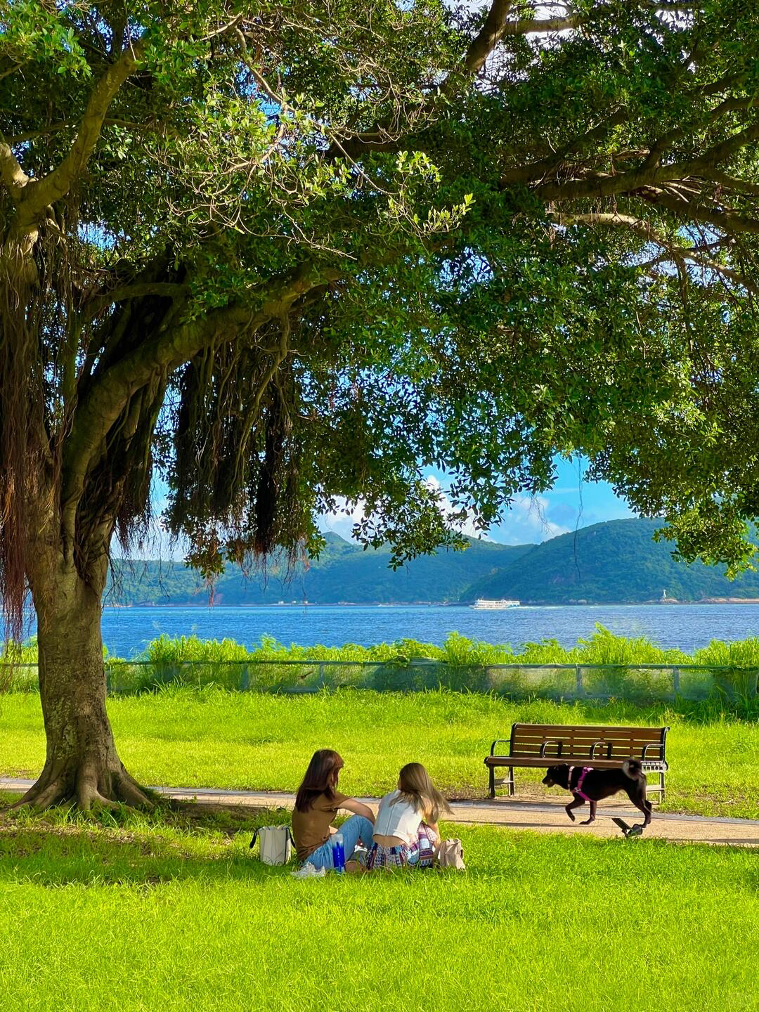 香港10大免費野餐好去處---迪欣湖-香港最高野餐公園-附交通與周邊玩樂懶人包