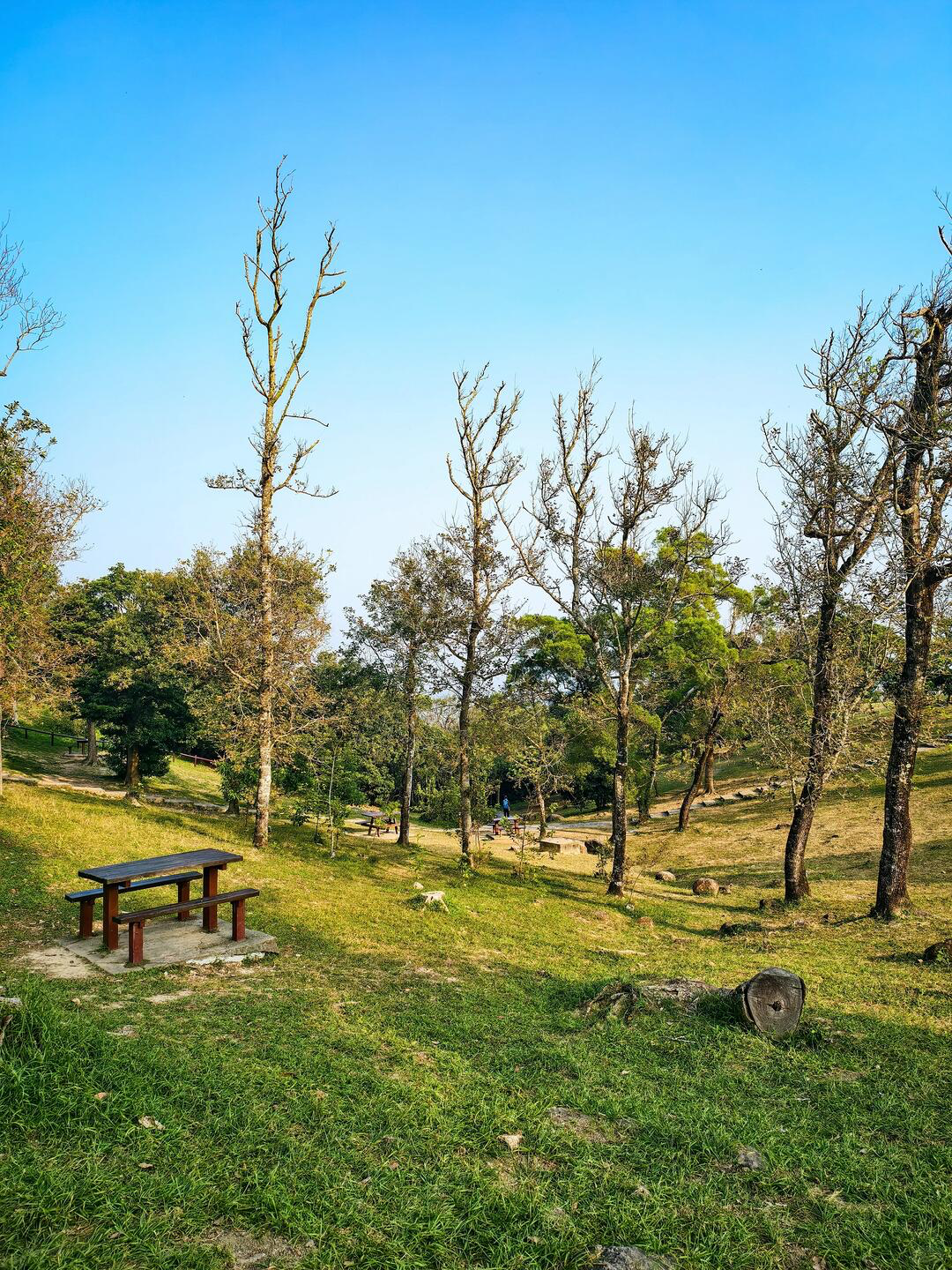 香港10大免費野餐好去處---迪欣湖-香港最高野餐公園-附交通與周邊玩樂懶人包