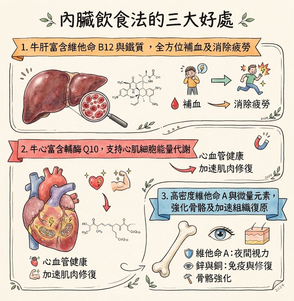 身心有營飲食法則-一般人可複製夏蘭特餐單-內臟飲食法3大好處-潛在風險