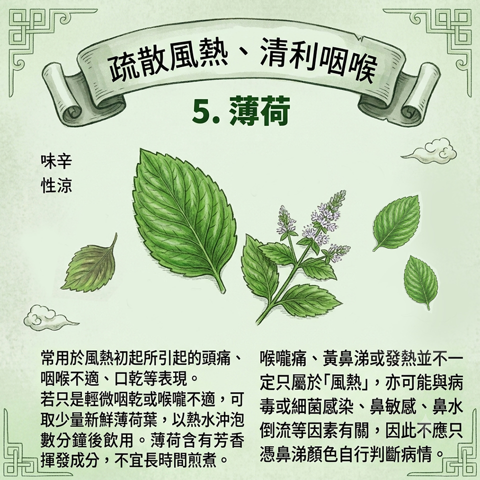 亭嘉的中醫日常-家中常備的5種藥食材-不適時的日常調理