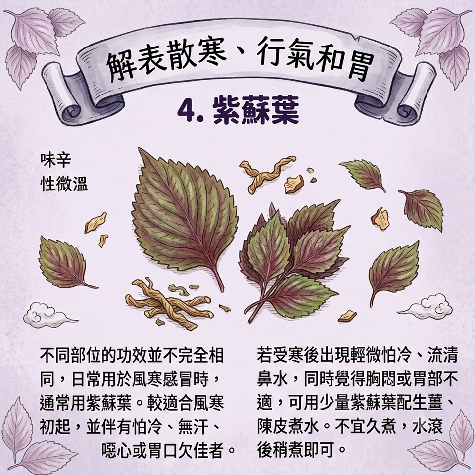 亭嘉的中醫日常-家中常備的5種藥食材-不適時的日常調理