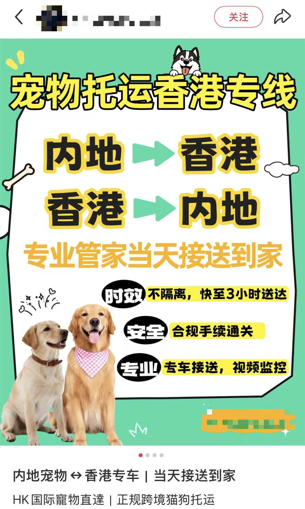 漁護署-已主動與社交平台溝通嚴打走私貓狗-將違規內容下架