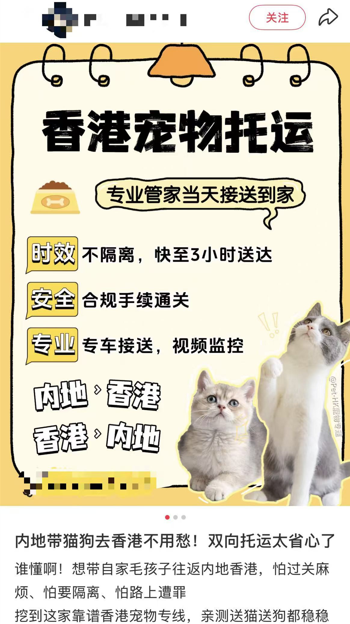 漁護署-已主動與社交平台溝通嚴打走私貓狗-將違規內容下架