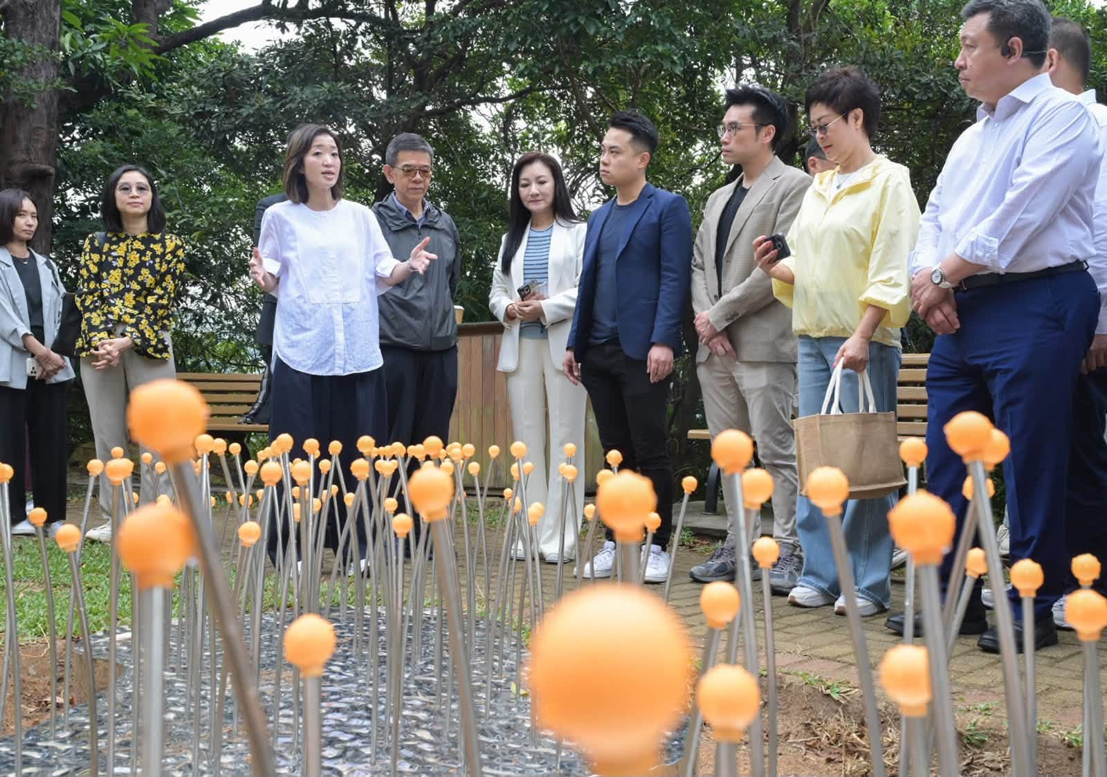 山頂光影匯惹關注專員議員實地視察-強調無修剪樹木