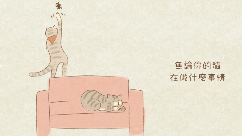 奴樂無窮--閃鈴