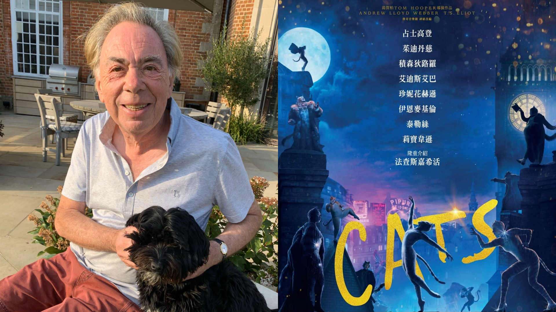 【熱話】舞台劇改編電影《CATS》 令原作者心靈受創 需養「治療犬」療「貓傷」