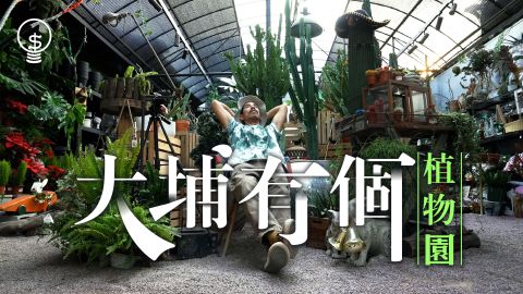 搵錢呢啲嘢丨大埔打造植物園-80後主理人：香港做植物衰過做清潔