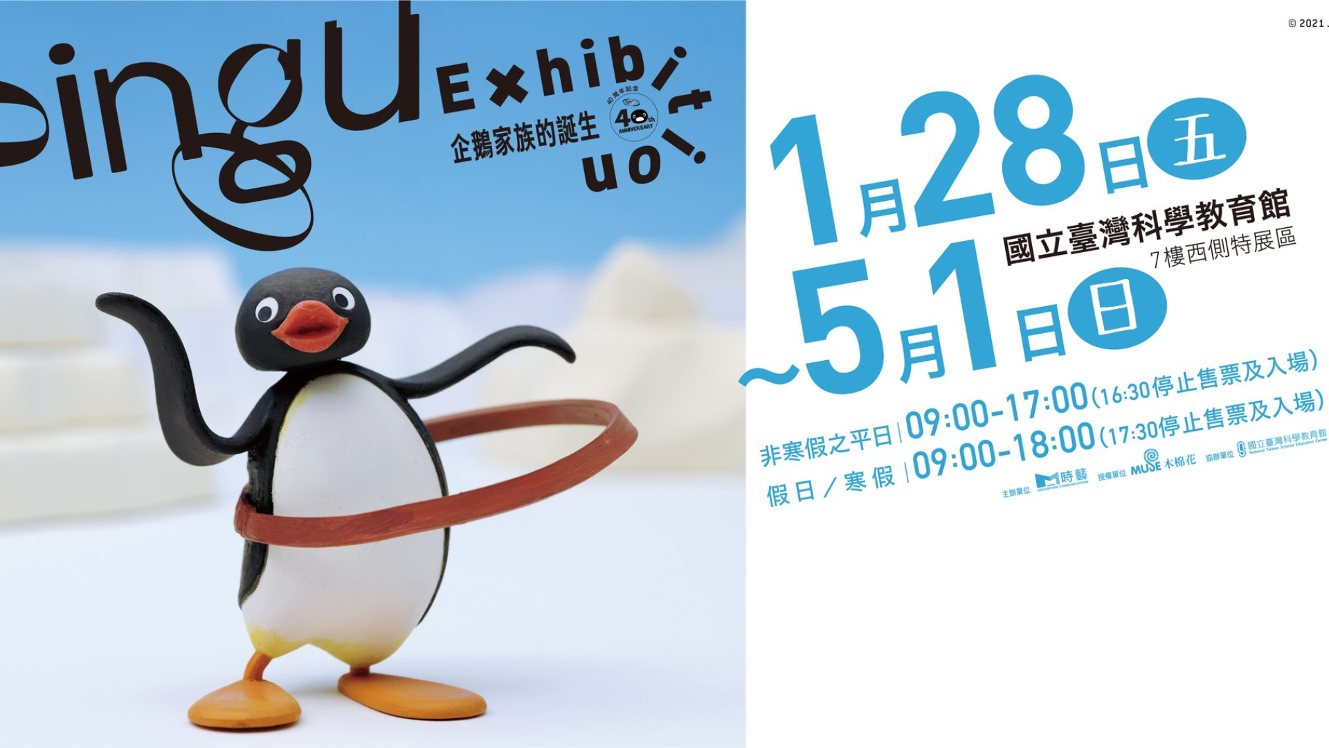 看展覽｜經典動畫「Pingu企鵝家族」40週年 台灣特展帶來珍貴幕後花絮！