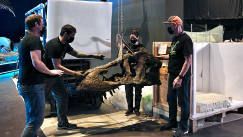 科學館下月辦大型恐龍展-多組恐龍盛世化石標本亮相