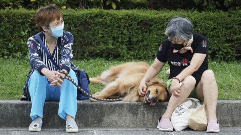 台灣疫情｜本土確診數字降至4萬以下　多134人死亡