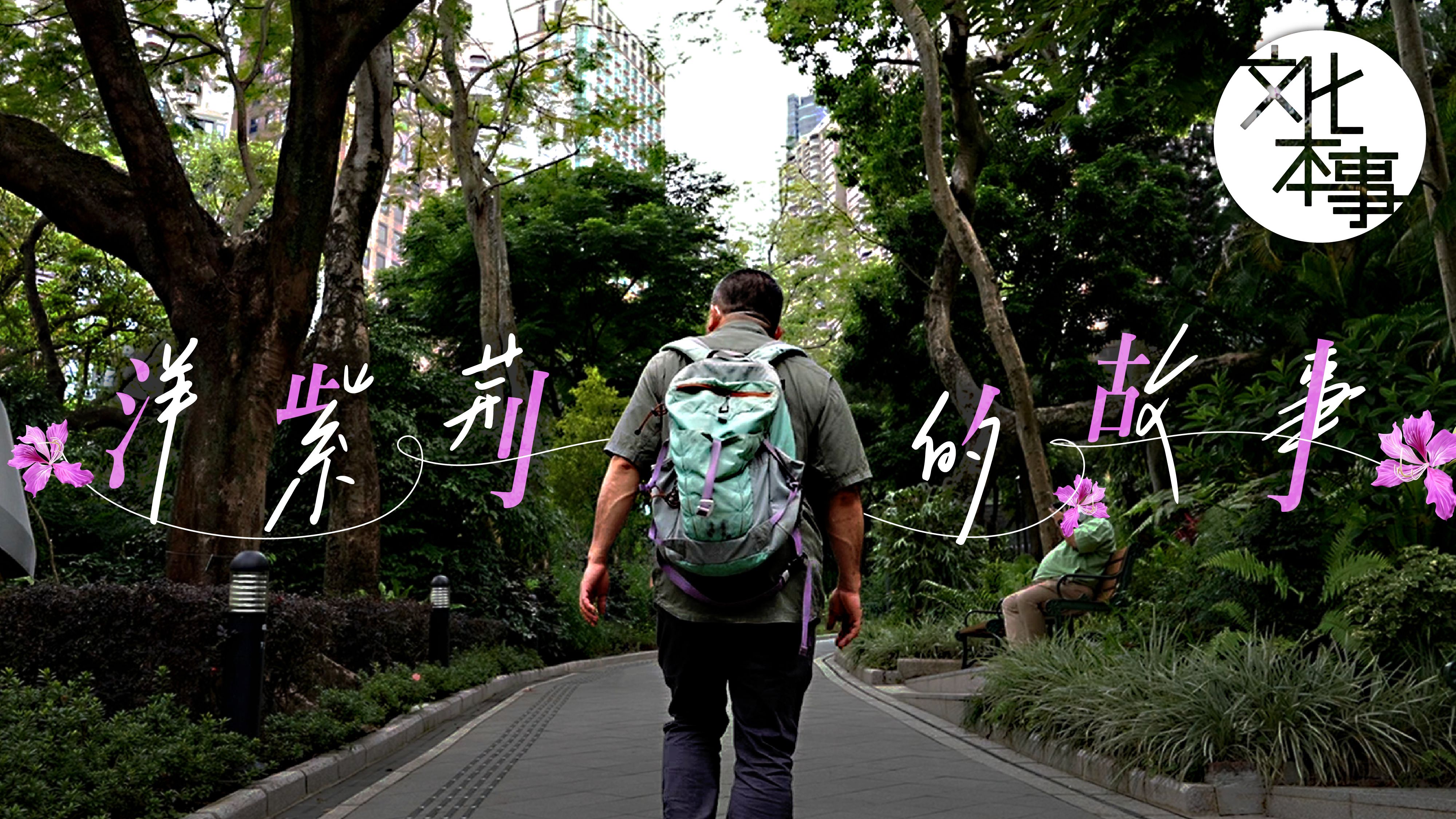 文化走訪｜香港市花「洋紫荊」奇跡般的誕生故事   