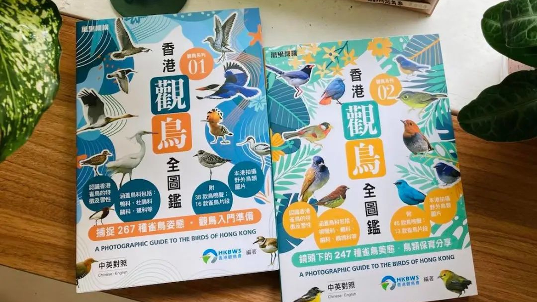 好書推介｜在香港觀鳥，走一趟自然系旅行
