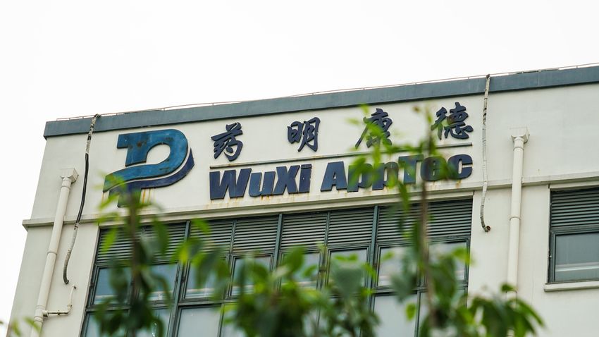 新年特別篇（一）丨教你到深圳辦年貨！平價批發市場 五百蚊可以買到乜新年佈置？