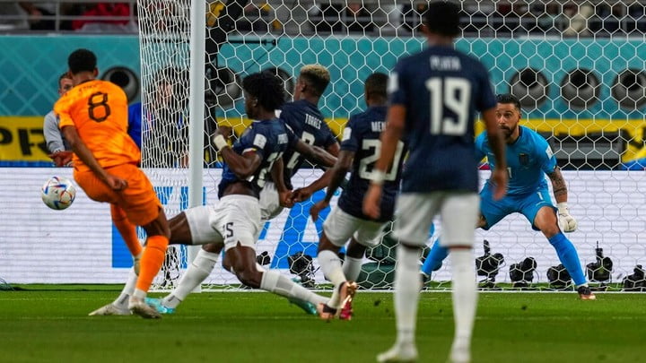 世界盃戰報｜厄瓜多爾1:1迫和荷蘭　同組卡塔爾兩連敗出局