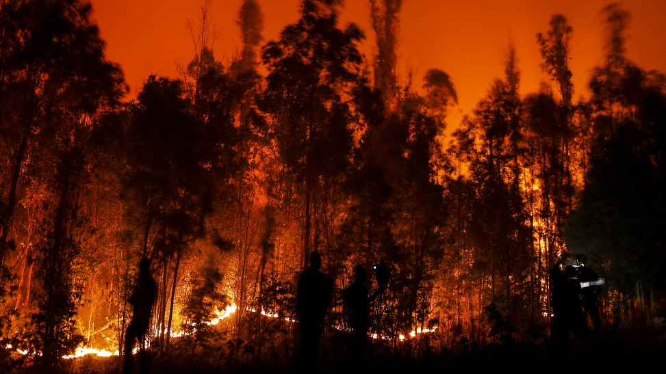 智利山火蔓延已致至少22人死亡　政府向鄰國求援滅火