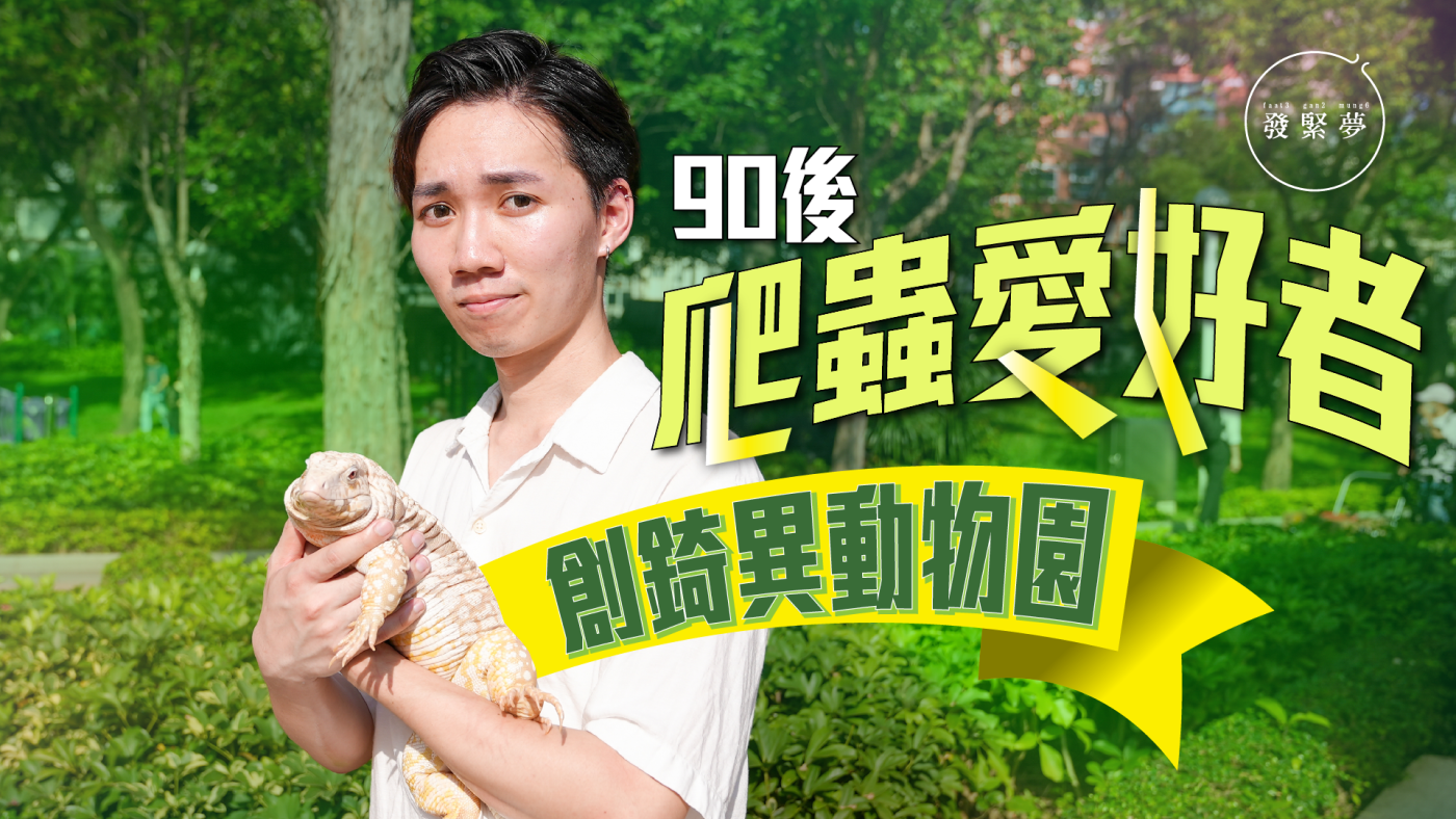 夢專訪｜90後爬蟲迷創錡異動物園！曾養數百隻當寵物：似恐龍有型