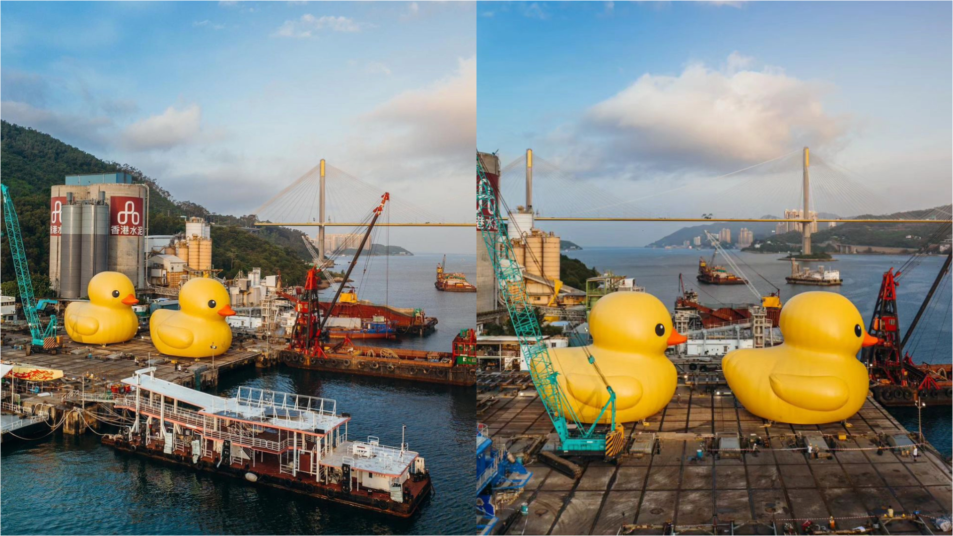 巨型黃色橡皮鴨重「游」香港-官方發起10年回憶挑戰！