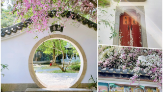 當代中國-深圳園博園-賞特色園林-享寫意慢活