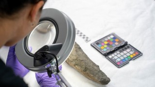 熱話-考古新發現-可能是世界最大型石製-手斧-出土
