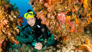潛看地球三分二-潛水員的最後天堂--四王群島Raja-Ampat