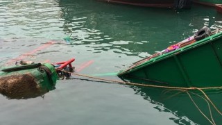 太白海鮮舫碼頭躉船入水沉沒-無人受傷