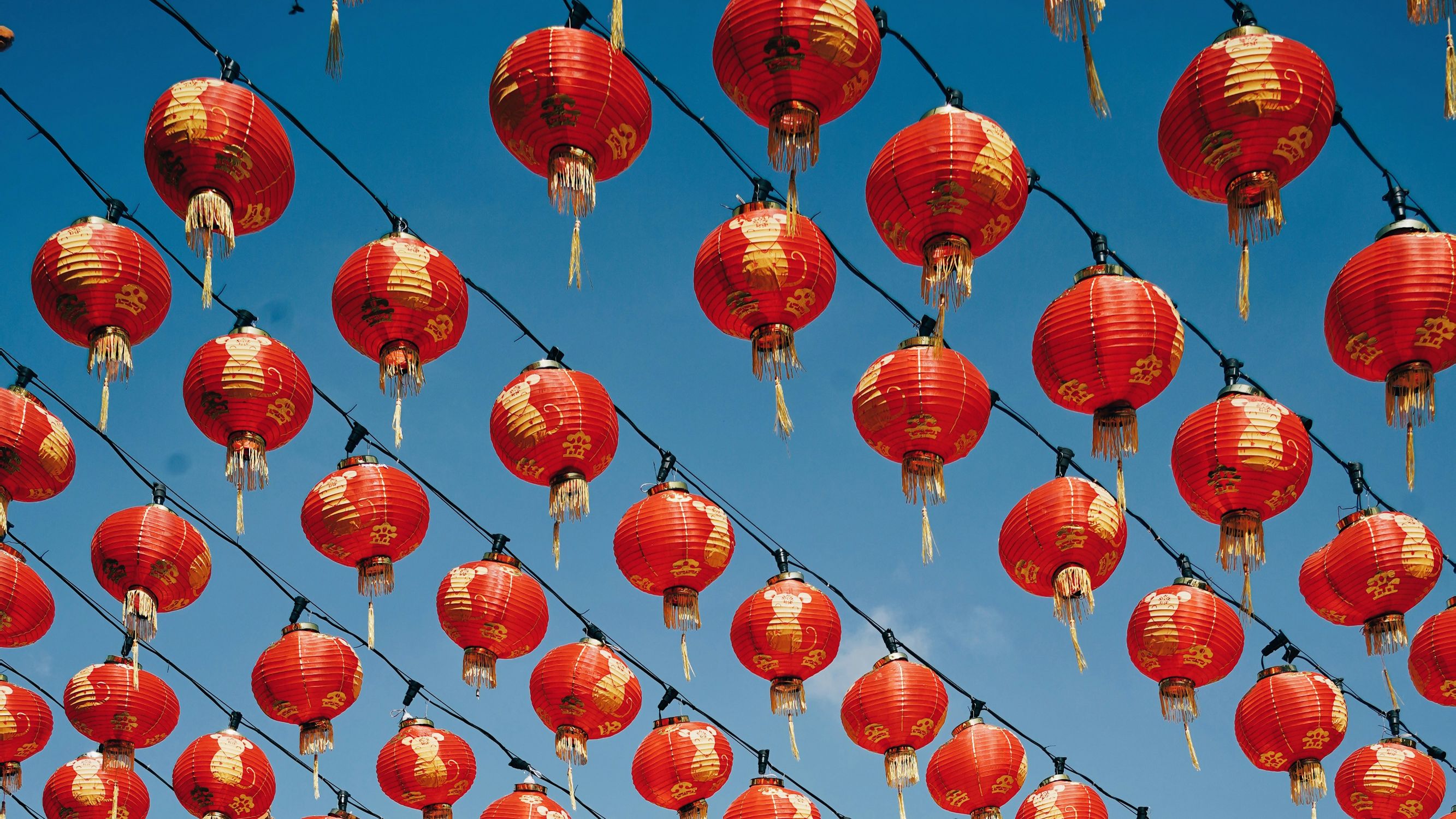 好去處|帶孩子行花市感受年味!全港各區年宵市場交通地點一覽