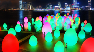 日本teamLab-3月來港-數百件發光蛋設置維港-免費入場