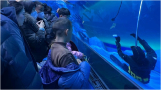 鄭州一海洋館潛水員溺亡-多名遊客目擊-以為是假人