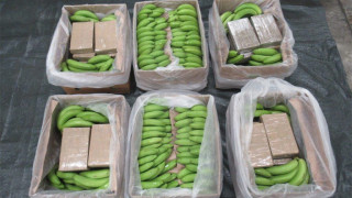 英國破獲香蕉箱藏毒案-南美洲抵英貨櫃檢5-7噸值逾44億元可卡因