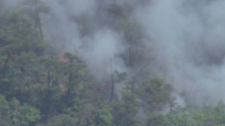 日本山形縣山火燒毀面積達95公頃-逾400居民疏散