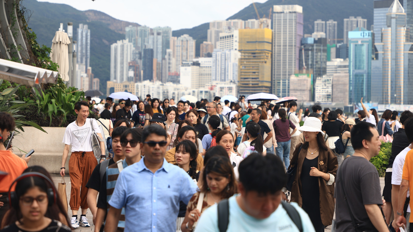 五一黃金周｜旅議會料逾80萬人次內地旅客訪港　本港酒店平均入住率將近九成