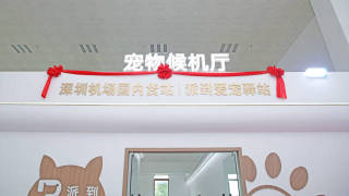 毛孩專屬-深圳機場推內地首個寵物候機廳-獲愛寵團體大讚